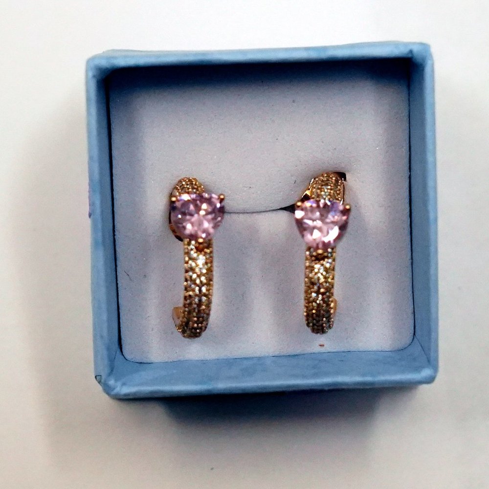 Pretty Heart Earrings